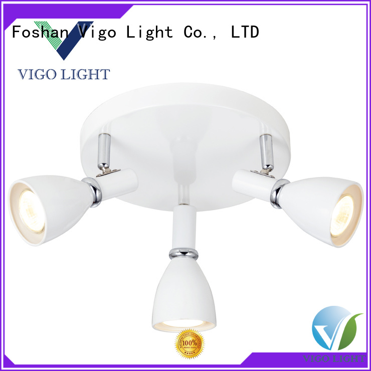 stainless steel lounge ceiling lights factory for villa