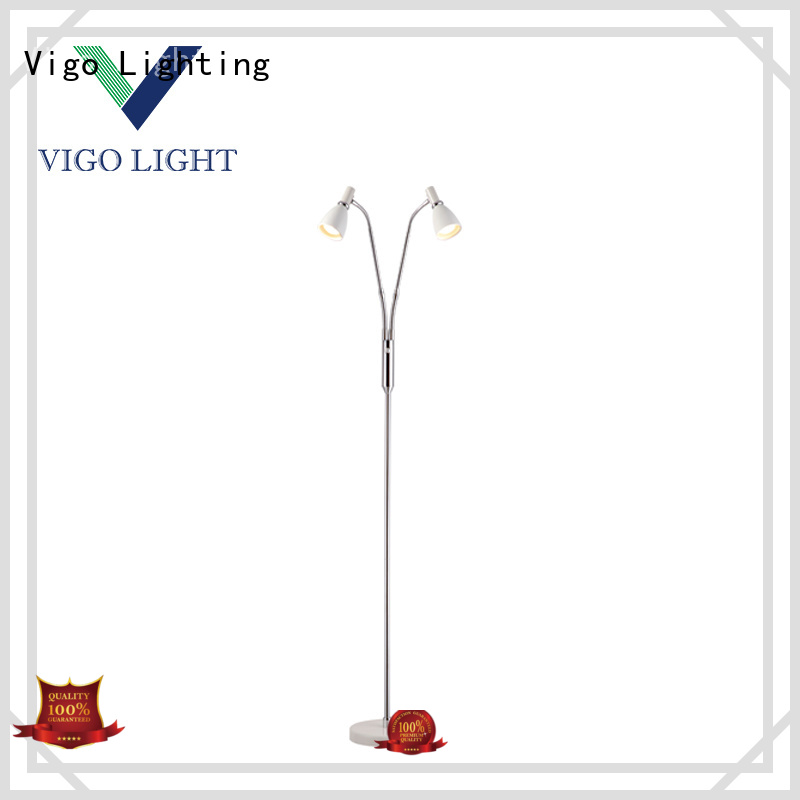 Vigo Lighting 2 light floor lamp customized for apartment
